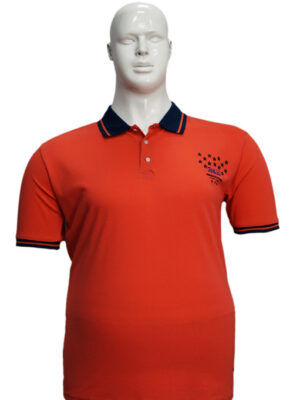 Koszulka Polo B167 wzór 1 - PACZKA