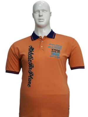 Koszulka Polo B167 wzór 5 - PACZKA
